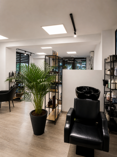 Salon infrumusetare la cheie